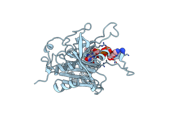 3LVB image