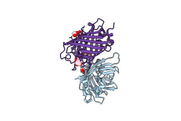 3LVC image