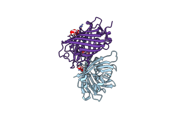3LVD image