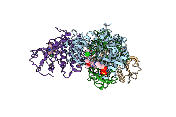 3LVP image