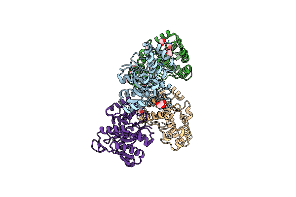 3LVU image