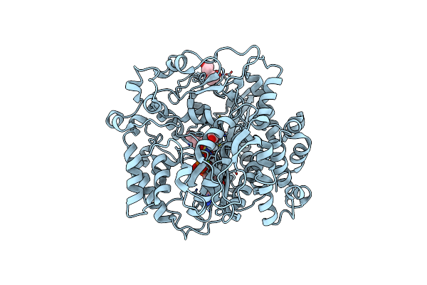 3LVV image