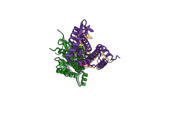 3LWN image