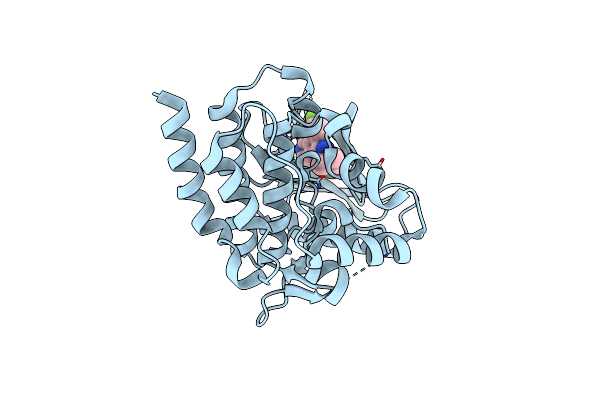 3LXP image