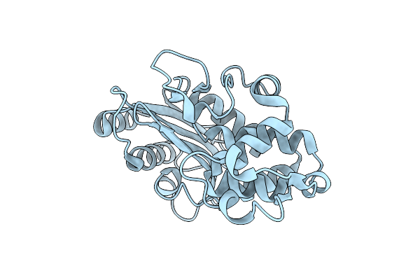 3LY3 image