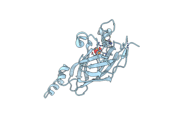 3LYR image