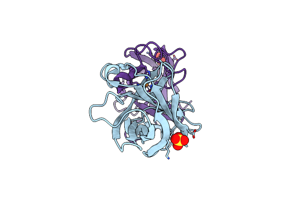 3LZO image