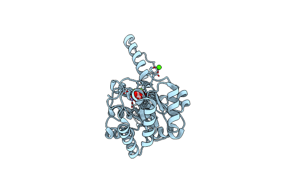 3M0J image