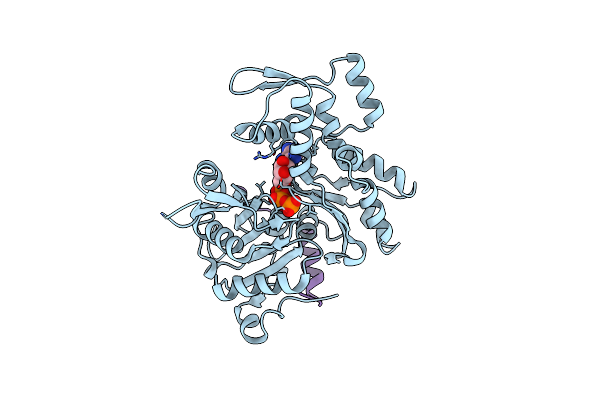 3M1F image