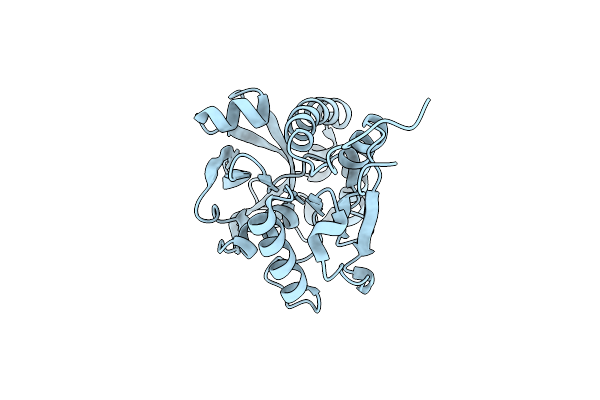 3M3P image