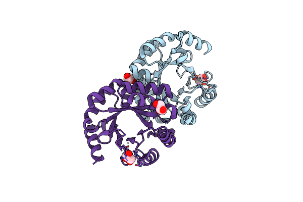 3M41 image