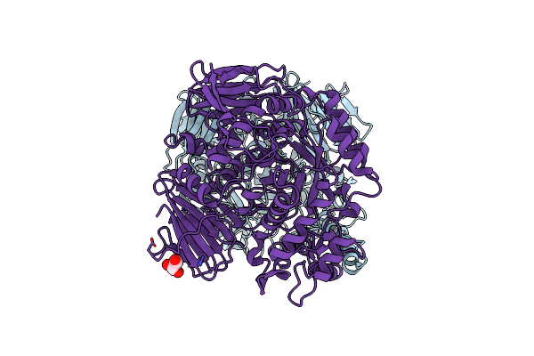 3M46 image