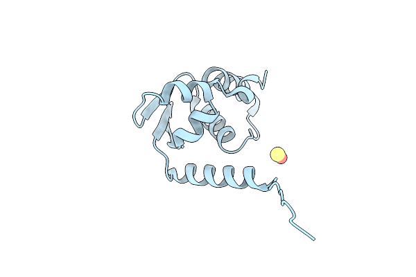 3M4T image