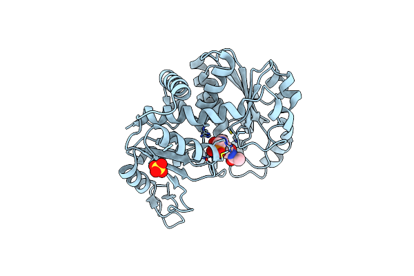 3M5D image