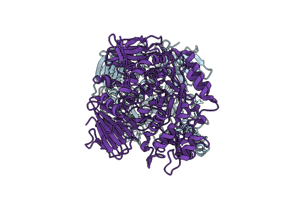 3M6D image
