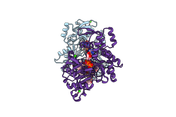 3M6G image
