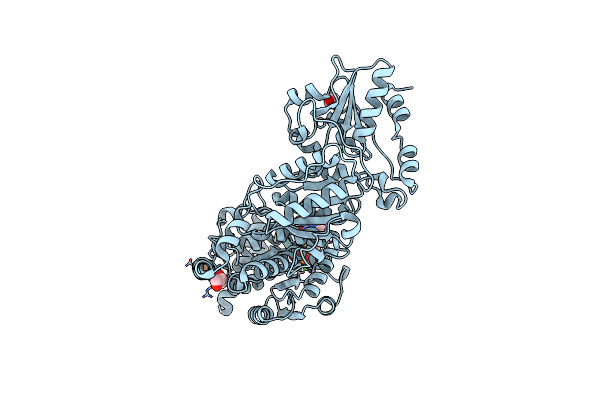 3M6L image