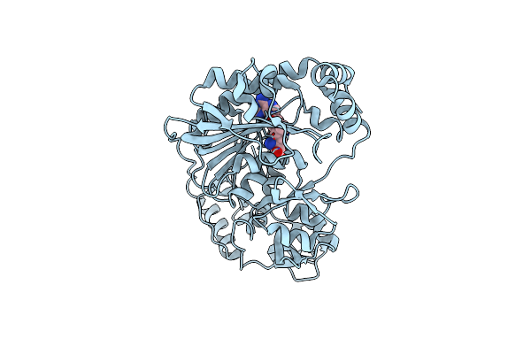 3M6W image