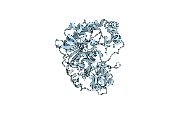 3M6X image