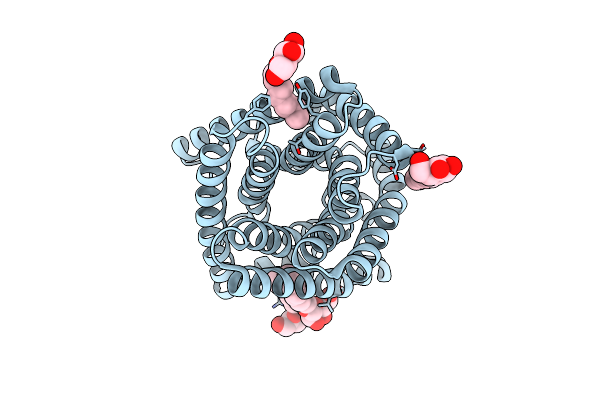 3M74 image