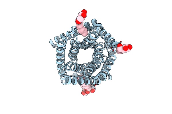 3M75 image