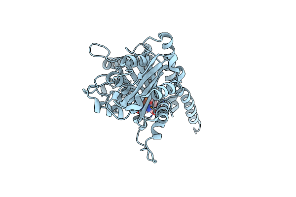 3M89 image