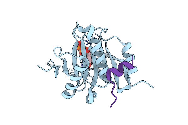 3M93 image