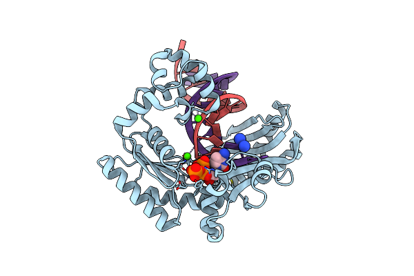3M9N image