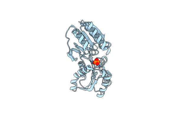3M9W image