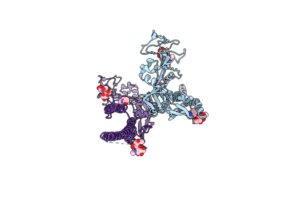 3MAW image