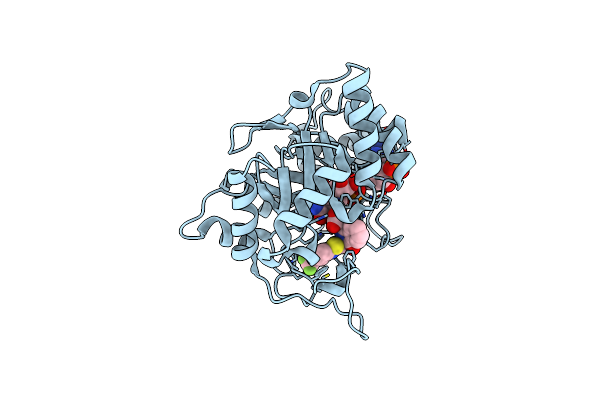 3MB9 image