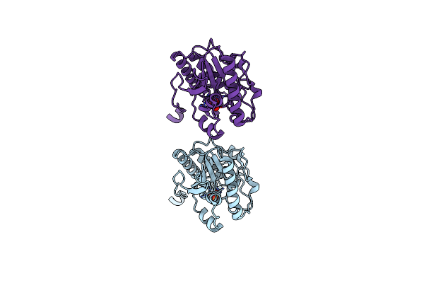 3MBK image