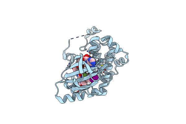 3MBL image