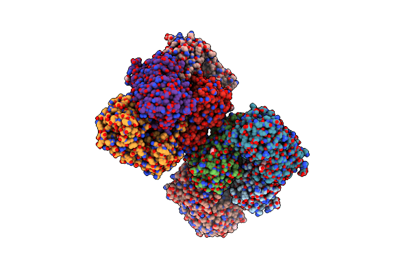 3MBO image