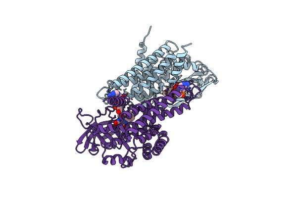 3MDD image