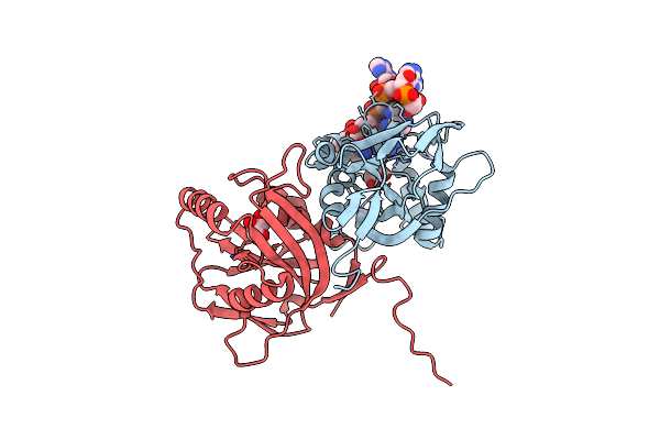 3MDI image