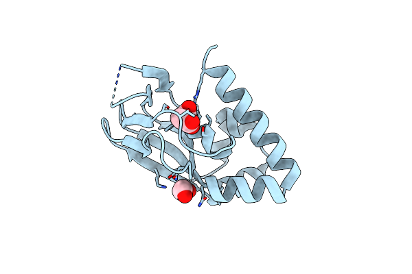 3MDP image