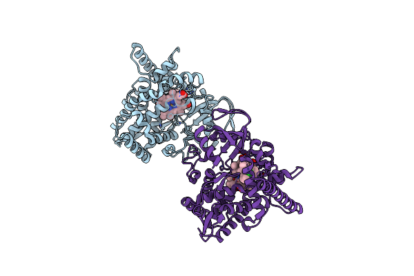 3MDV image