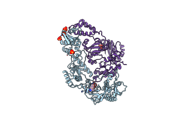 3MED image