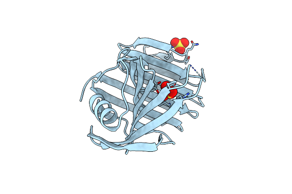 3MFC image