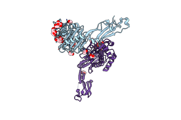 3MFD image