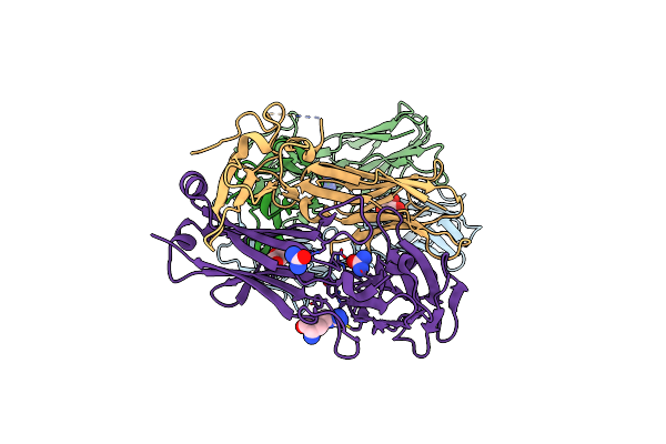 3MFF image