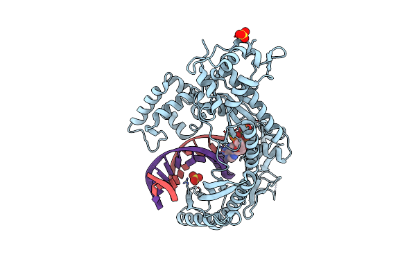 3MFH image