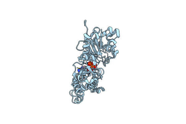 3MFP image