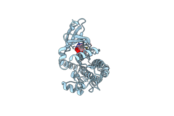 3MFR image