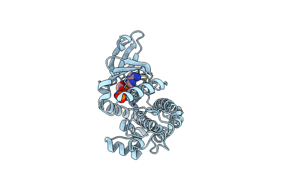 3MFU image