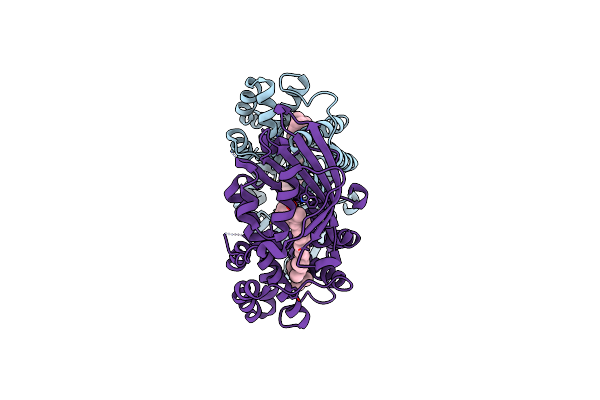 3MG2 image