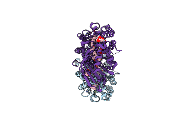 3MG3 image