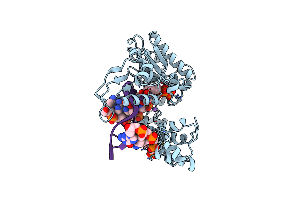 3MGI image