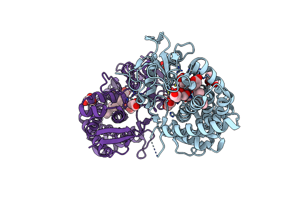 3MGX image